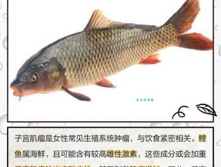 中国锦鲤为何爆火？现象级背后的原因分析！