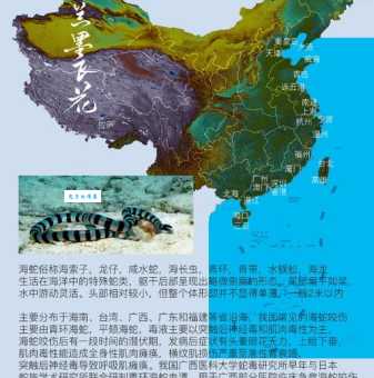噬鱼蛇主要分布在哪里？探索它们的自然栖息地！