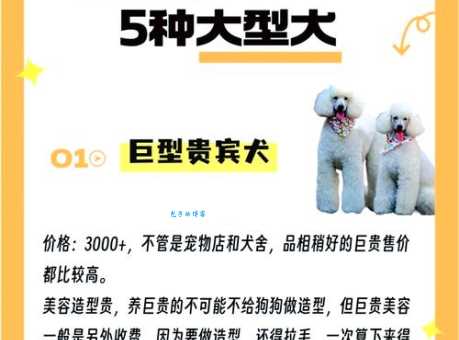 买俊介多少钱一只?这几个渠道更靠谱!