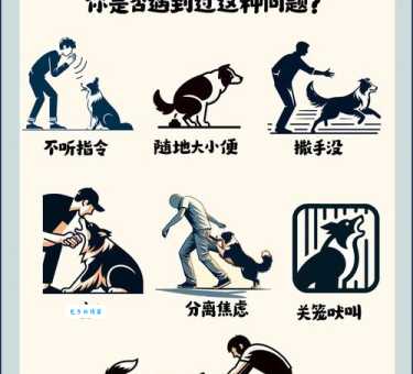 阿根廷獒犬训练指南：教你如何从小训好它！