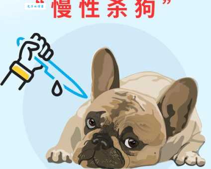 制止活剥小狗行为：动物保护刻不容缓！