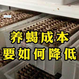 全蝎养殖技术难学吗？简单实用方法教给你！