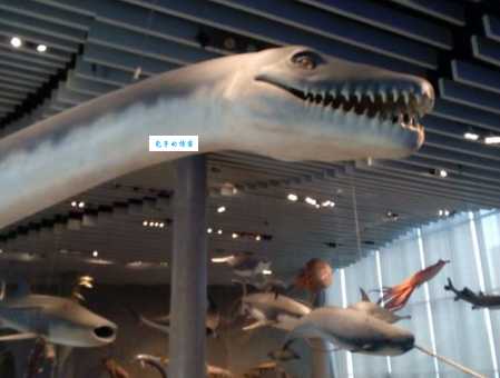 新西兰发现一只活恐龙？专家揭秘事情真相！