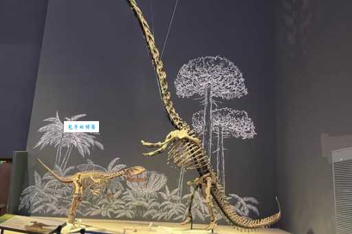 新西兰发现一只活恐龙?专家揭秘事情真相!