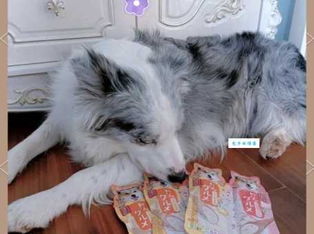 大丹犬吃什么零食好？安全零食推荐给它！