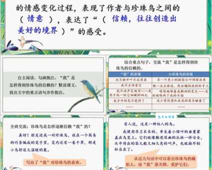 赤胸朱顶雀的叫声好听吗？一篇文章带你了解！