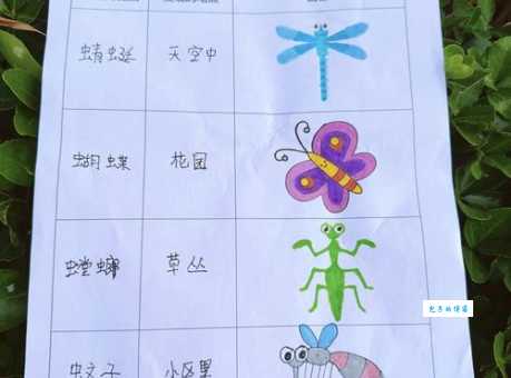 鼬蜓都吃什么？小昆虫的食谱大揭秘！