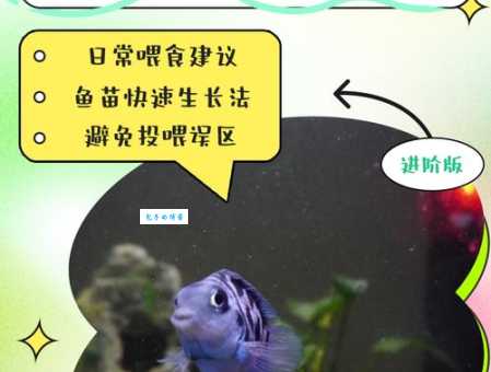 珍珠球鱼吃什么长得快？喂食秘诀都在这里！