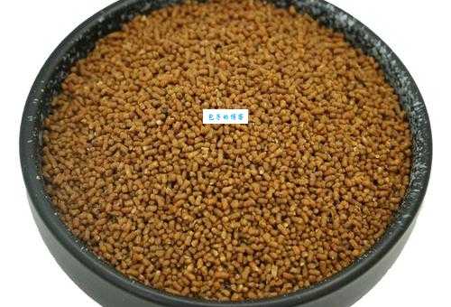 红子鸟吃什么饲料？喂养秘诀让它长得壮！