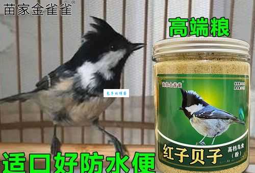 红子鸟吃什么饲料？喂养秘诀让它长得壮！