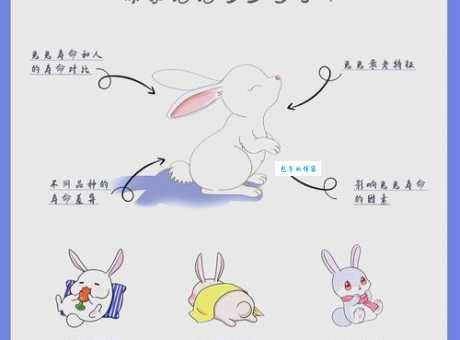 小白兔中国寓意是什么？传统文化深度解读！