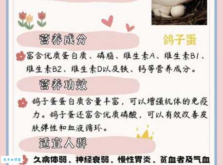 信鸽饲料怎么选？新手养鸽必看的喂养指南！