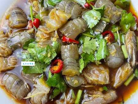 家里接吻鱼吃什么好？原来这样喂养它们最开心！