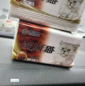 买波斯猫多少钱划算?这几个地方值得一去!