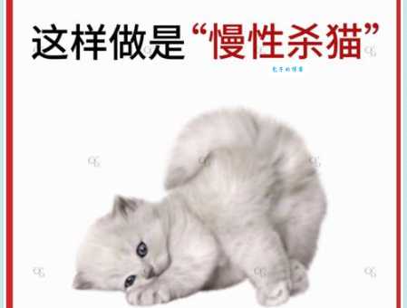 活剥小猫是否违法？了解动物保护法律常识！