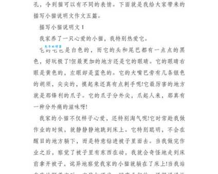 小玉猫有什么特点？一篇文章带你了解！