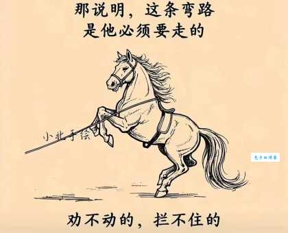 驴坚强的意义是什么？传递积极向上正能量！