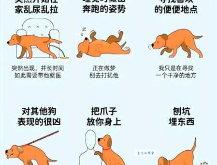 狗狗配种前准备什么？让你的爱犬顺利繁育！