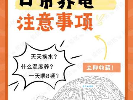 深入了解乌龟的生活习性,让你成为称职的养龟达人!