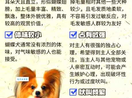 蝴蝶犬能长多大?幼犬到成年期的成长变化!
