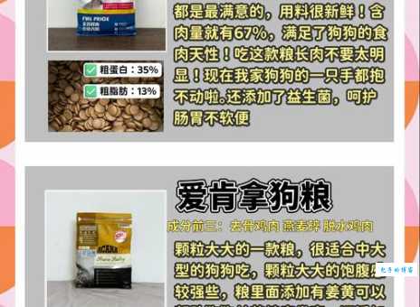 灵提狗吃什么狗粮好？健康喂养指南！