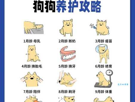 养超大型犬要注意什么？新手铲屎官看完不踩雷！