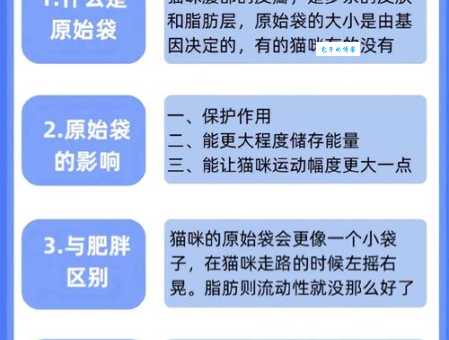 活剥猫皮背后的罪恶！如何避免购买相关产品？