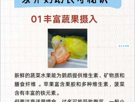 粉红凤头鹦鹉吃什么？健康食谱秘籍分享！