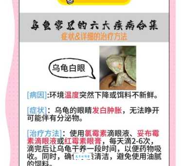 豹龟拉稀会死吗？专家教你如何正确应对挽救！