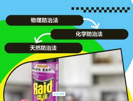 苍蝇养殖技术哪个好？专业人士教你高效方法！