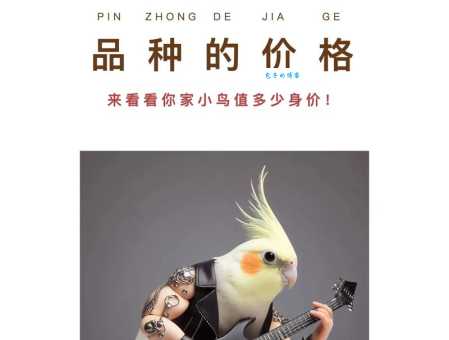 玄凤鹦鹉多少钱一只才划算？购买攻略少花钱！