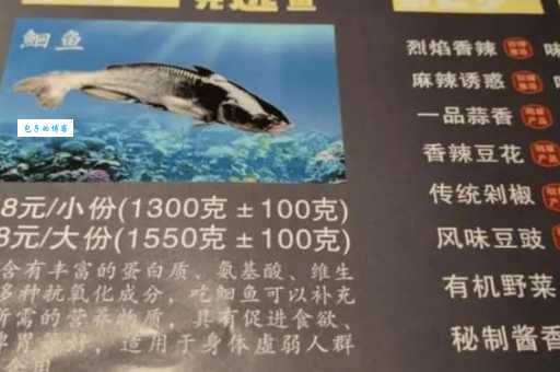 花鳗鲡的市场价格怎么样？现在购买划算吗？