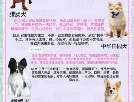 大瑞可犬舍口碑好不好？真实用户评价分享！