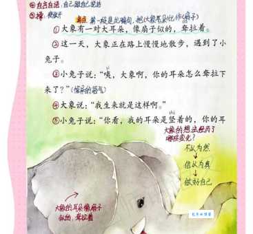 大象的左耳朵像什么？看完这篇你就全都明白了！