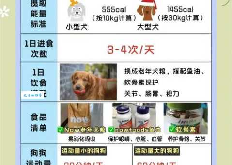 普瑞纳喂食要注意什么？新手铲屎官看过来！