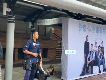 铁警神犬怎么训练?揭秘警犬的日常特训!