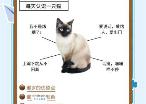 暹罗怎么读？地道发音带你游暹罗！