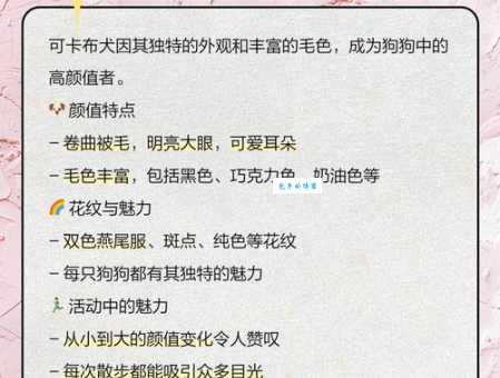 可卡幼犬价格行情怎么样？挑选纯种狗的技巧