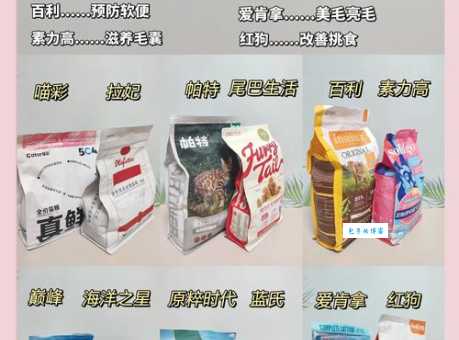 酷迪宠物用品好不好？新手铲屎官必看选购攻略！