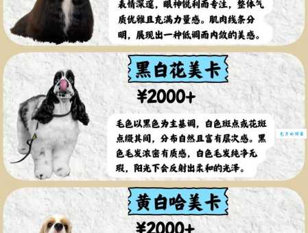 可卡多少钱能买到？这些渠道比宠物店便宜！