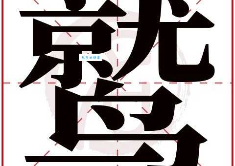 黑白兀鹫怎么读？一分钟学会正确发音！