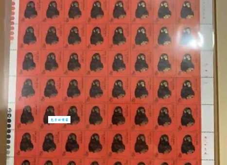 墨猴一只多少元靠谱？怎么分辨真假避免被坑呢？