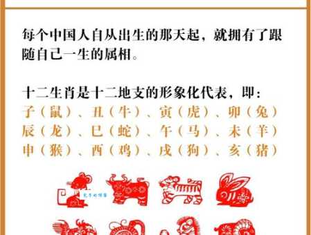 独树一帜的动物是什么生肖?老一辈人告诉你答案!