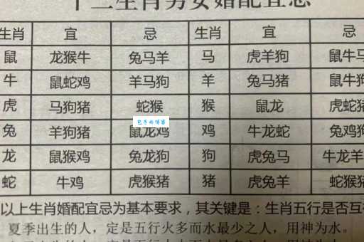 大家都说凡夫俗子指哪个生肖?答案让你意想不到!