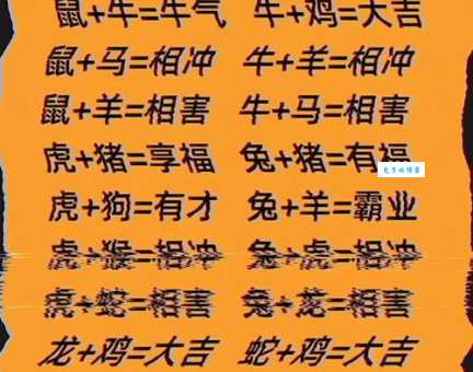 鸳鸯戏水是什么生肖的答案？(揭秘爱情美满的吉祥生肖)