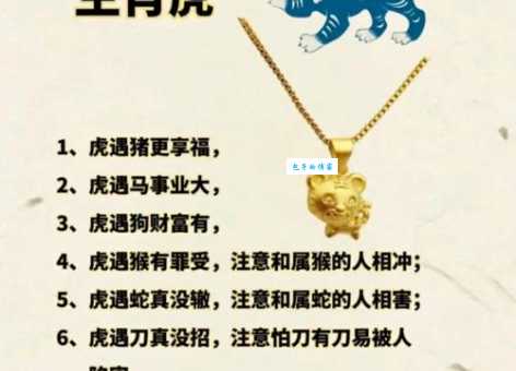 逍遥自在打一动物生肖可能是哪个？属马属龙属蛇大揭秘！