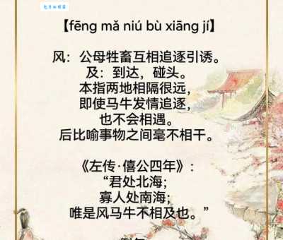 风和日丽是什么生肖的谜底？行家告诉你“马”的真正推理依据！