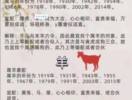 眉飞色舞指什么生肖？老一辈人告诉你真正答案！