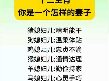 妾妇之道是什么生肖？老司机一眼就猜到！