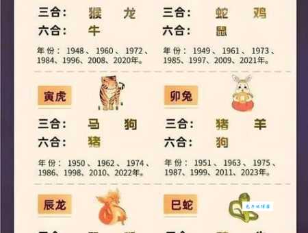 声东击西是什么生肖？高手教你一招来判断！